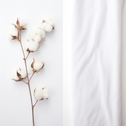 Side by side comparison of raw organic cotton and regular cotton, set against a pure white background.